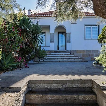 Challet Ericeira Βίλα Εξωτερικό φωτογραφία