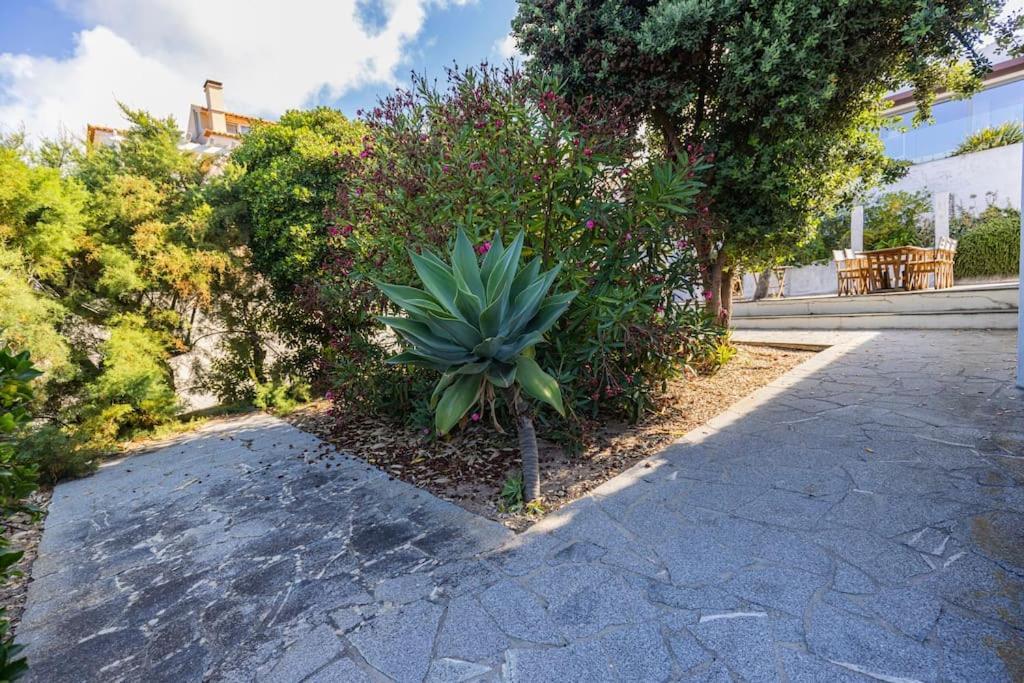 Challet Ericeira Βίλα Εξωτερικό φωτογραφία