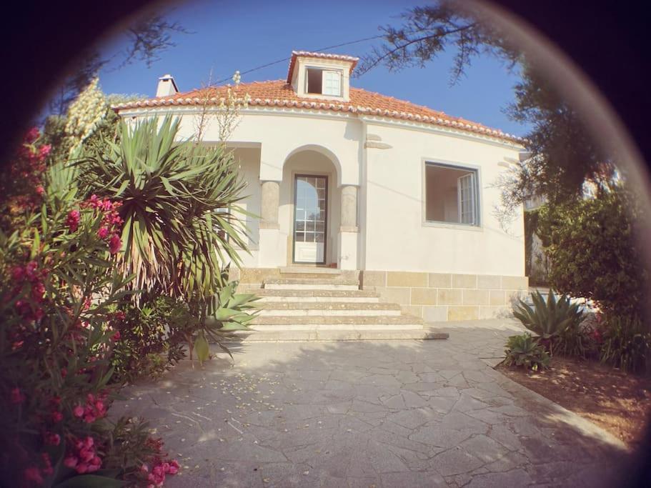 Challet Ericeira Βίλα Εξωτερικό φωτογραφία